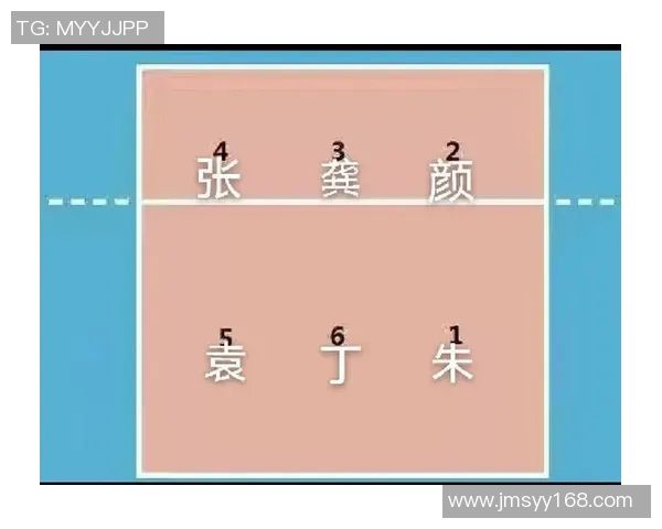 南京排球队反击战术解析与深度剖析排球竞技的魅力与挑战