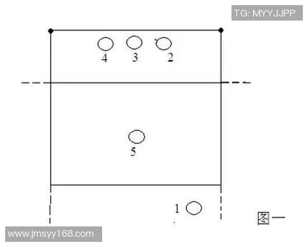 南京排球队在邀请赛中的灵活性展现与战术调整分析
